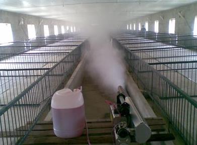 猪场常用消毒药及使用方法
