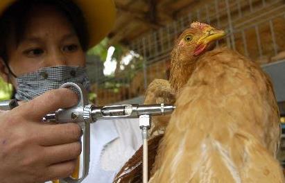 台湾家禽流感疫情告急，H5N2亚型持续检出