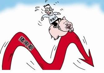 短期猪价止跌，市场或进入调整和僵持局面